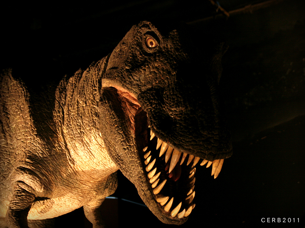 t-rex by majinbro2002 T-rex fotografia