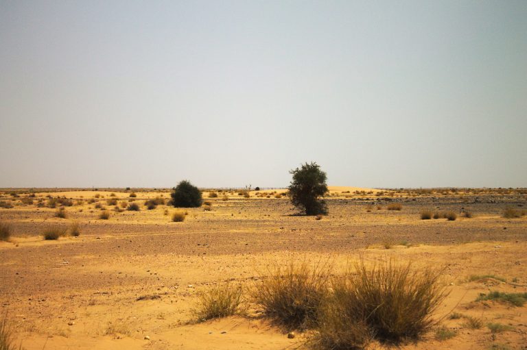 Globálne otepľovanie spôsobuje, že púšť Sahara neustále rastie