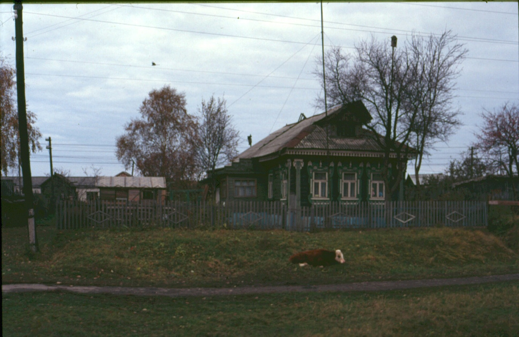 russian village fotografia