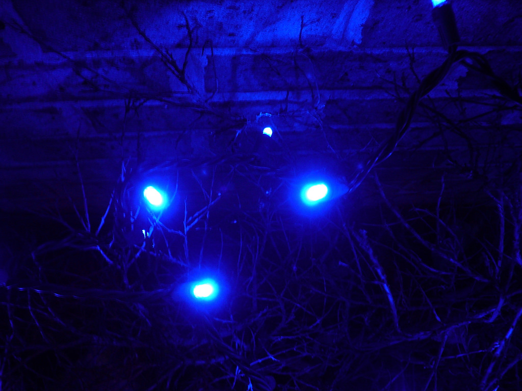 blue led light fotografia