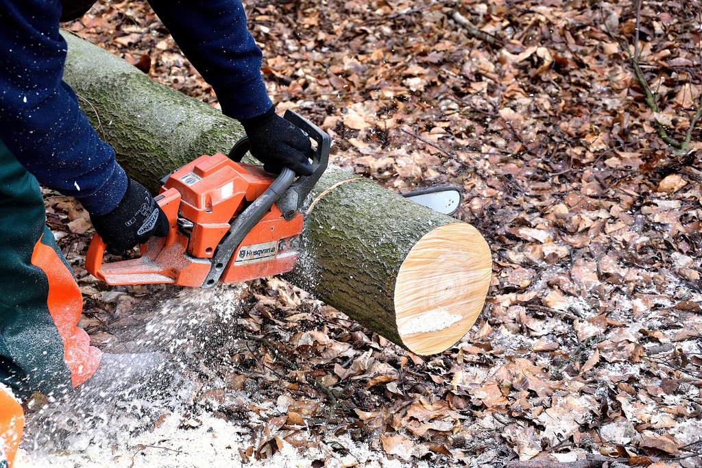 Lumberjack chainsaw woodworks - Credit to https://toolstotal.com/ by Toolstotal lumberjack fotografia