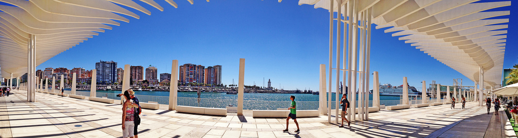 Malaga Port .. The Palm Garden of Surprises by Nick Kenrick.. malaga fotografia