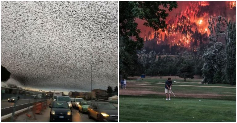 Z týchto fotografií vás naozaj zamrazí