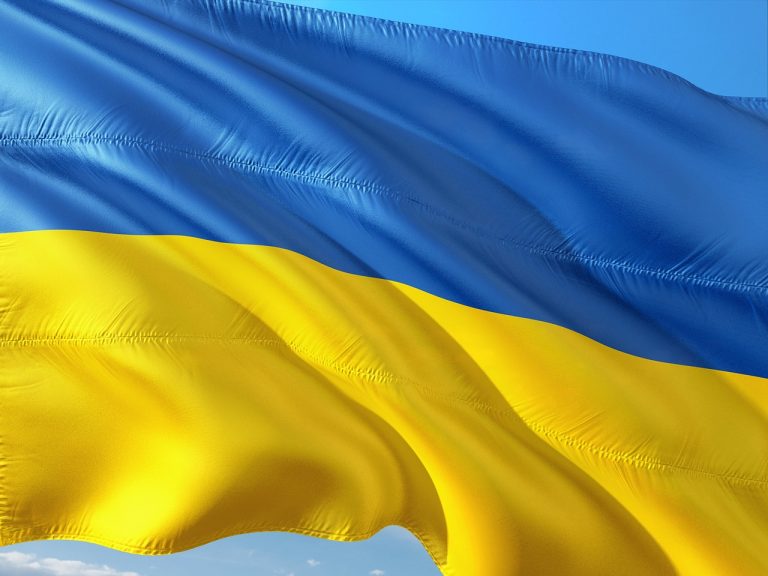 Ukrajina je druhou najväčšou krajinou v Európe a v počte IT špecialistov jej patrí 4. miesto na svete