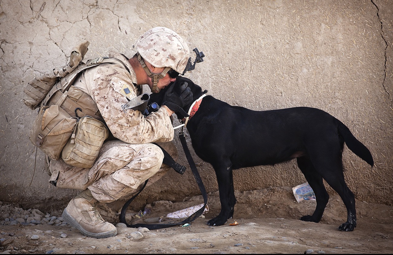 Photo by skeeze soldiers fotografia