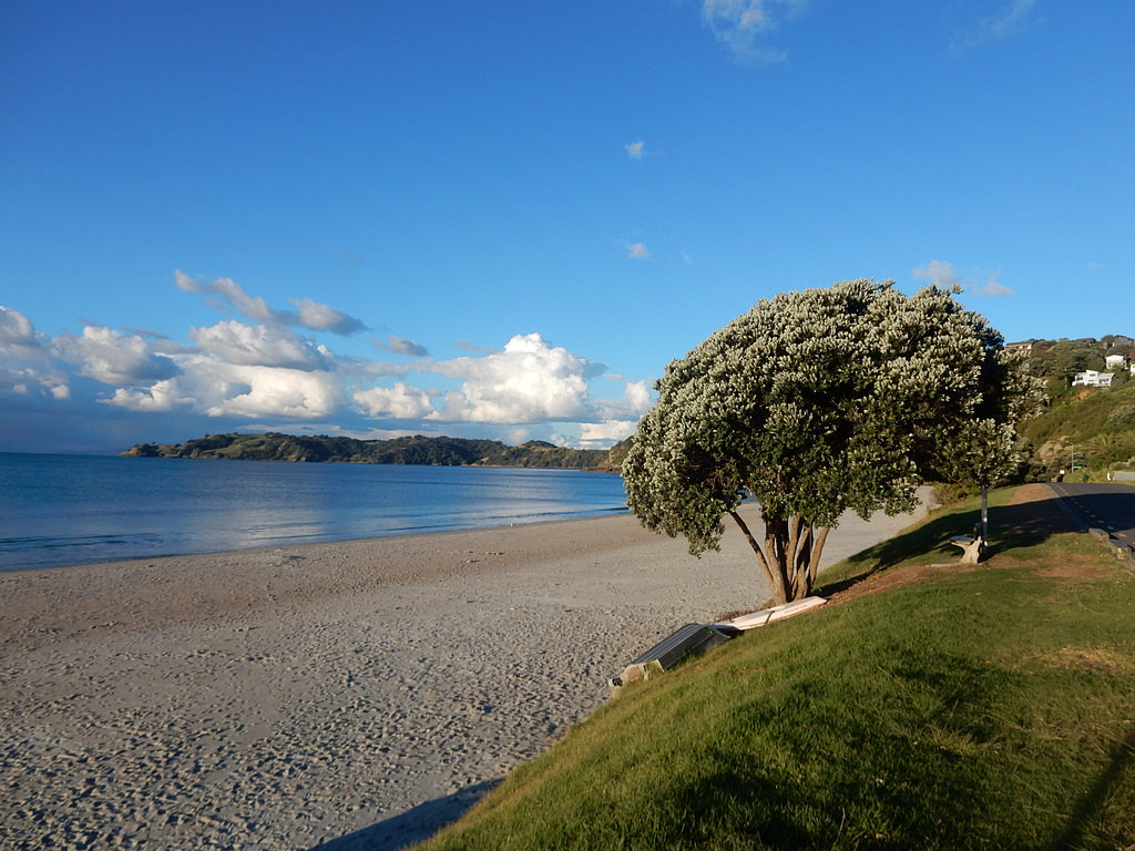 waiheke new zealand fotografia