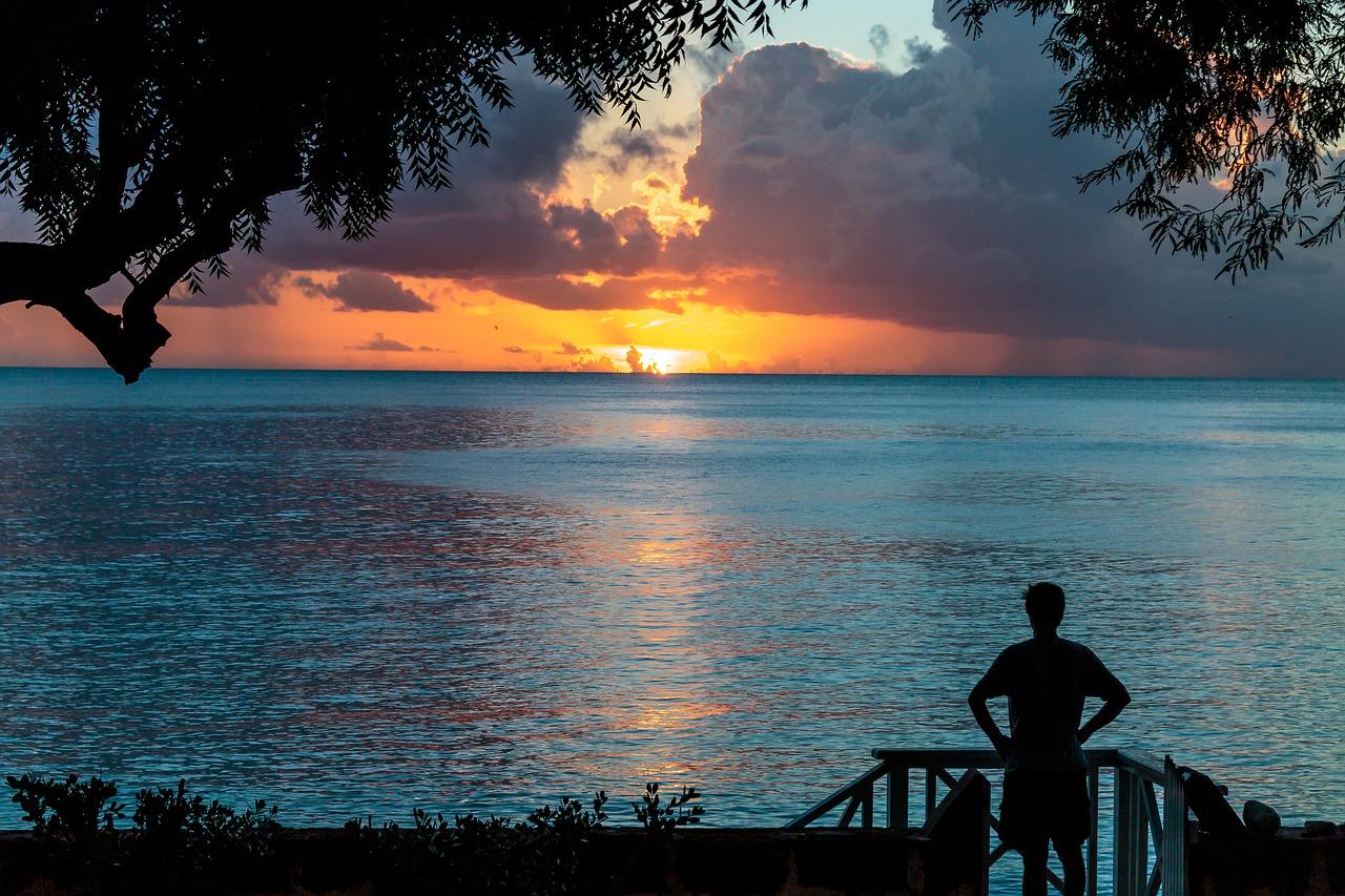 Photo by digitalskennedy barbados fotografia