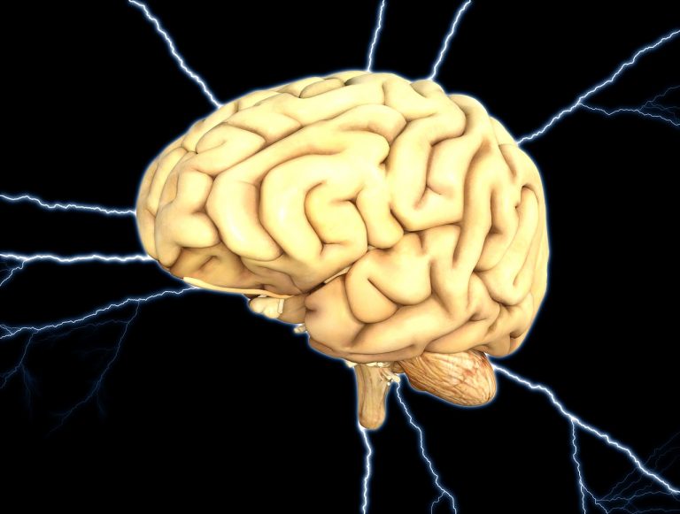 Japonským lekárom sa podaril doteraz nevydaný úspech. Mužovi s Parkinsonovou chorobou implantovali „preprogramované“ kmeňové bunky
