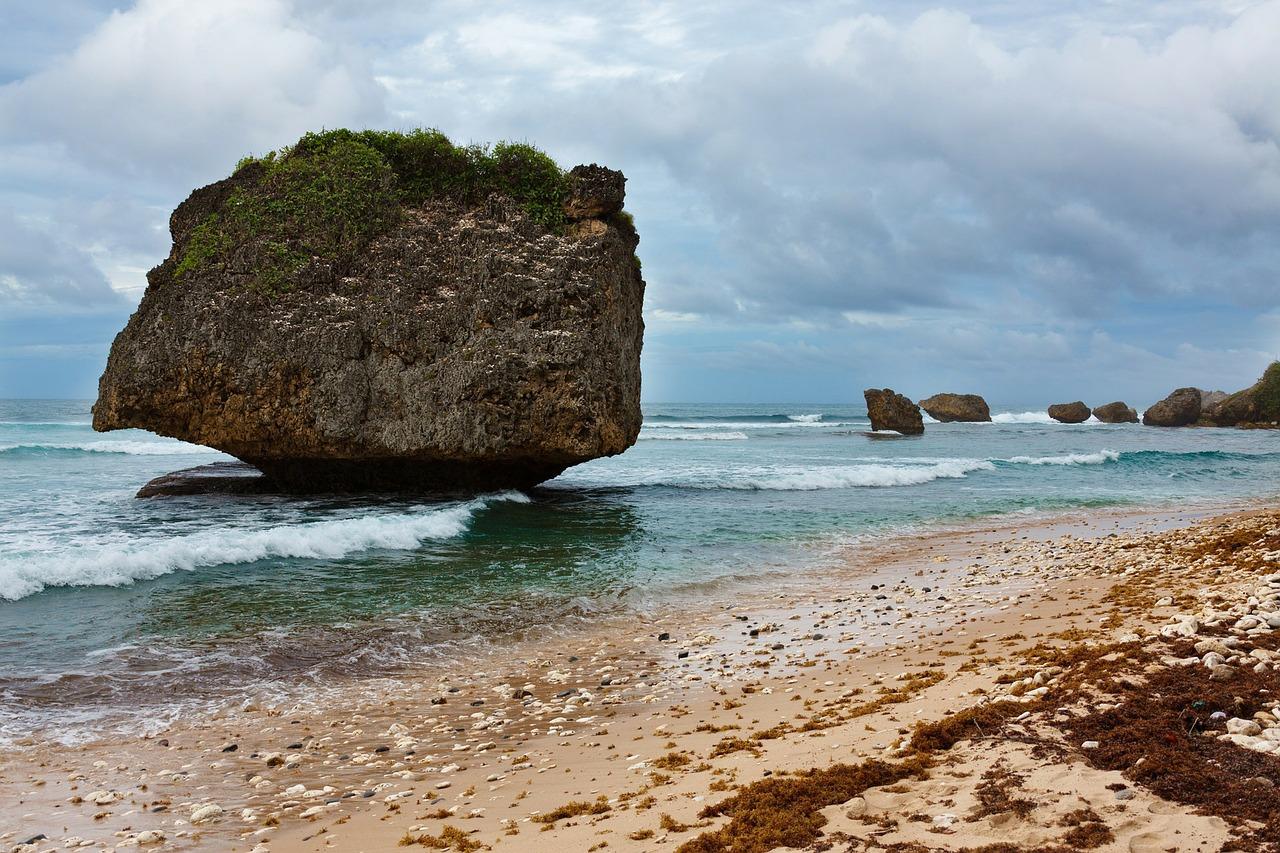 Photo by PublicDomainPictures barbados fotografia