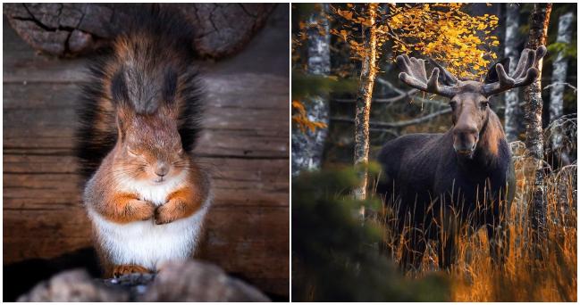 Fínsky fotograf vám ukáže, akú rozprávkovú krajinu v skutočnosti vo Fínsku nájdete