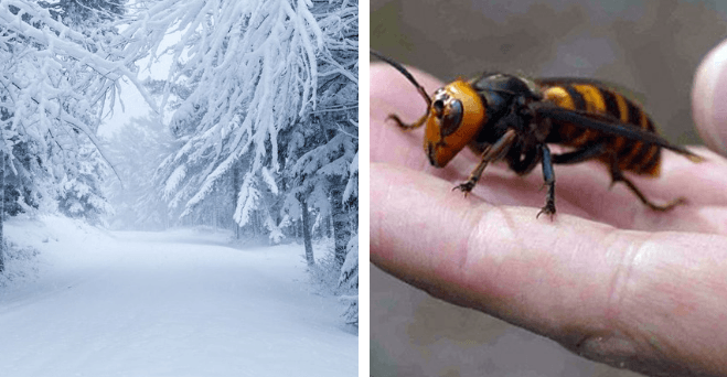 Zopár zaujímavosti ku káve, ktoré ti zaručene rozšíria obzory #251