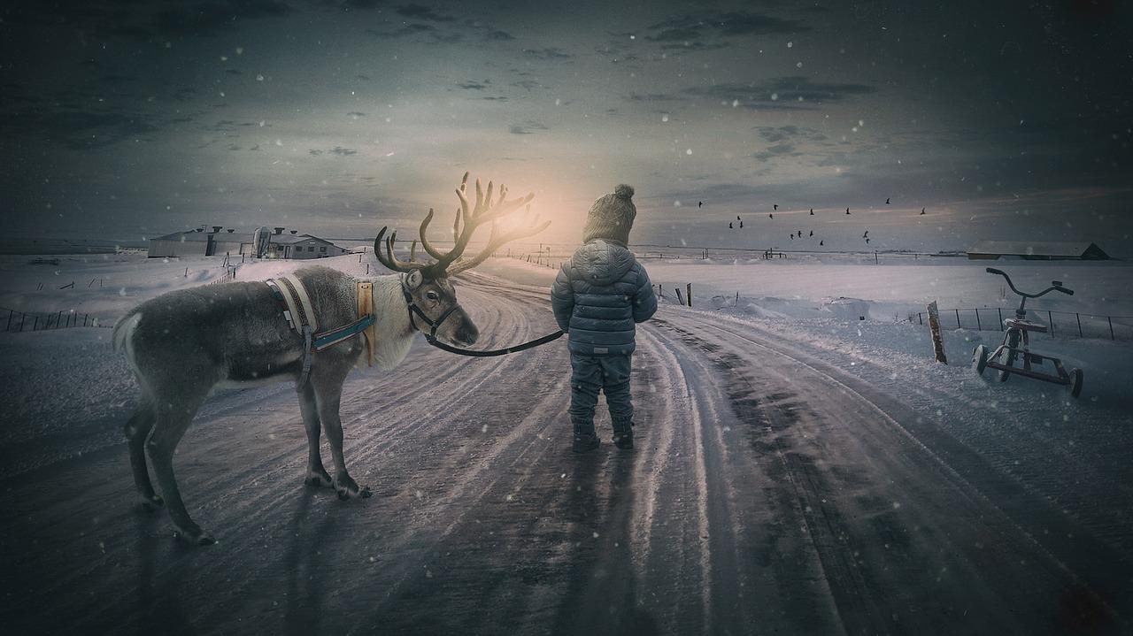 Photo by composita reindeer fotografia