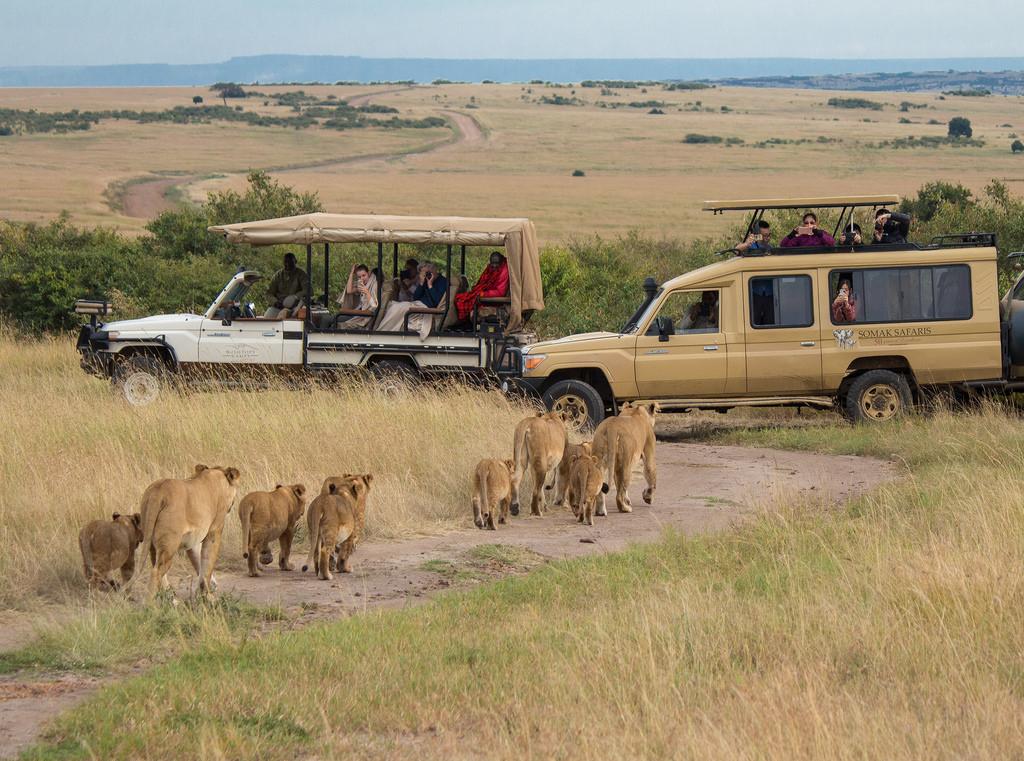 Safari in The Maasai Mara by Ray in Manila safari in tanzania fotografia