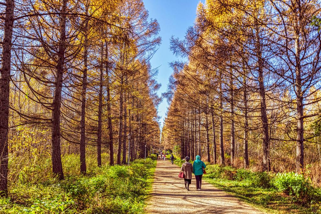 the last warm day of October by Dmitry Karyshev people in nature fotografia