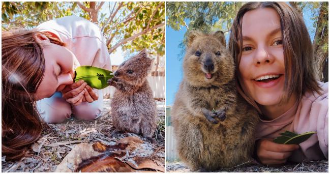 Letela 25 hodín do Austrálie len aby videla „najšťastnejšie“ zvieratká na svete – Quokkas