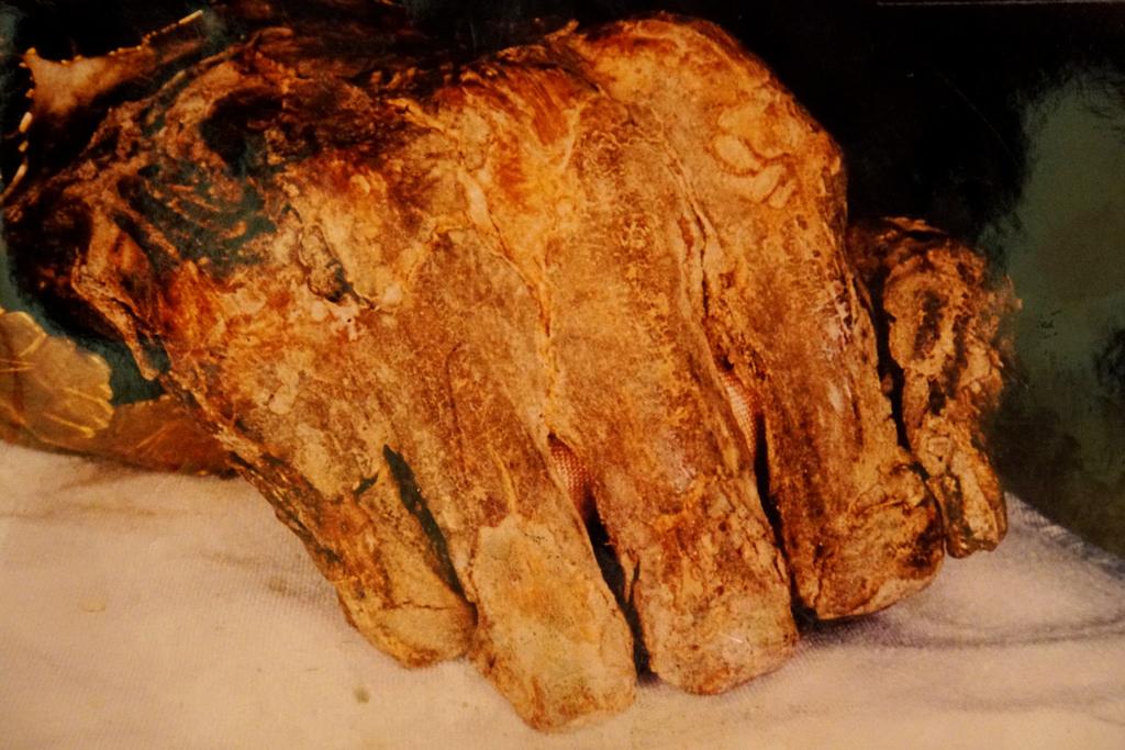 mummified hand fotografia