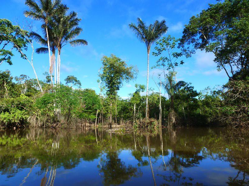 Amazon River, Peru by Global Water Forum amazon fotografia
