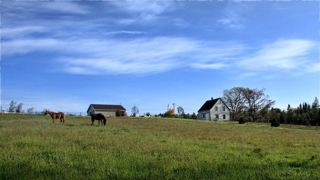 farm by bambe1964 farms fotografia