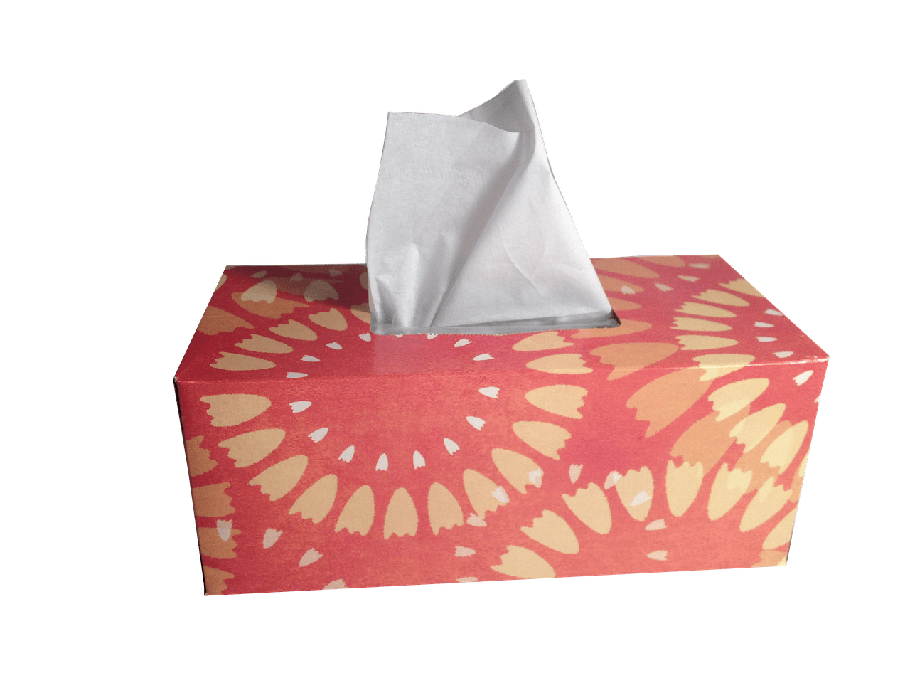 tissue box fotografia