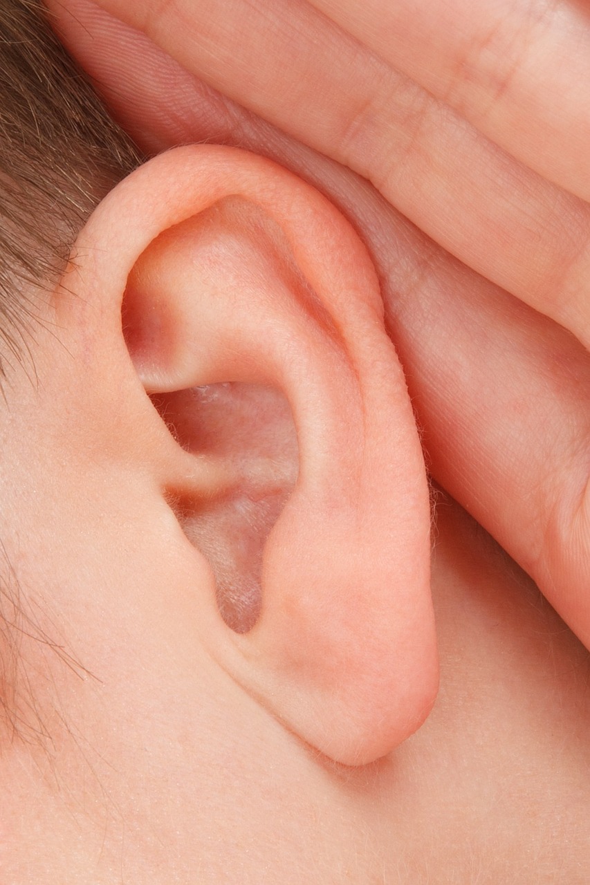 ear fotografia