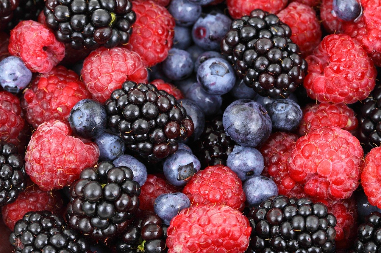 berries fotografia