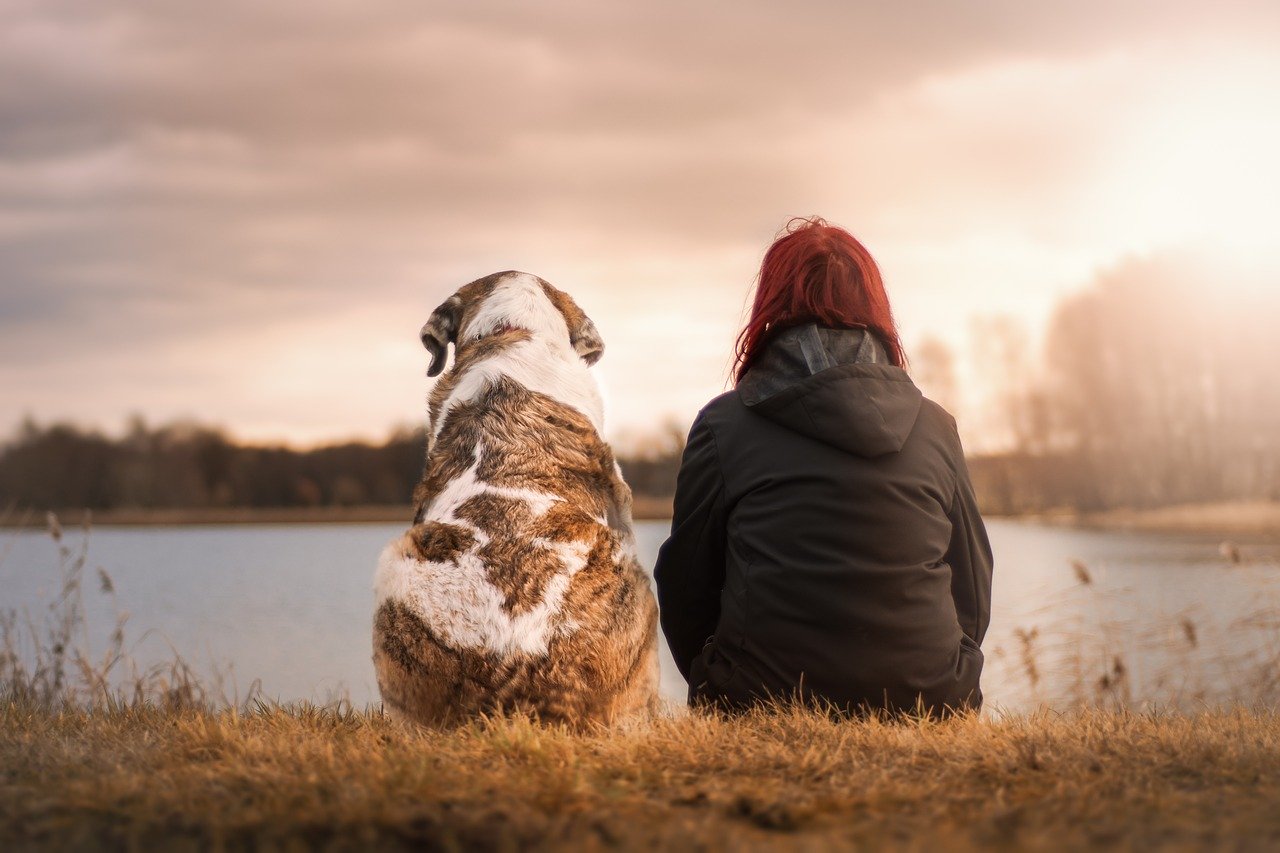 Photo by Seaq68 dog fotografia