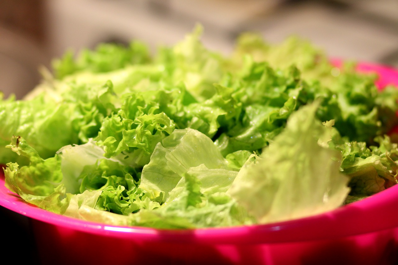 salad fotografia