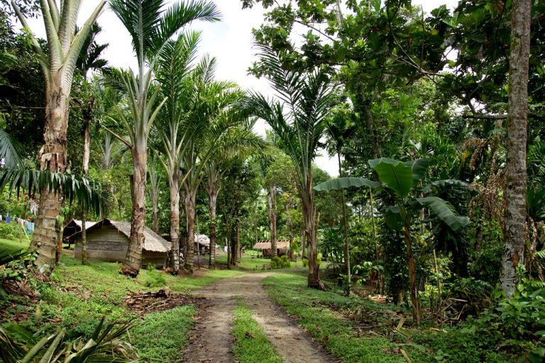 Región Bougainville v Papue Novej Guiney sa čoskoro zrejme stane novým štátom na mape