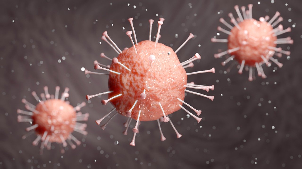 Photo by Thor_Deichmann virus fotografia