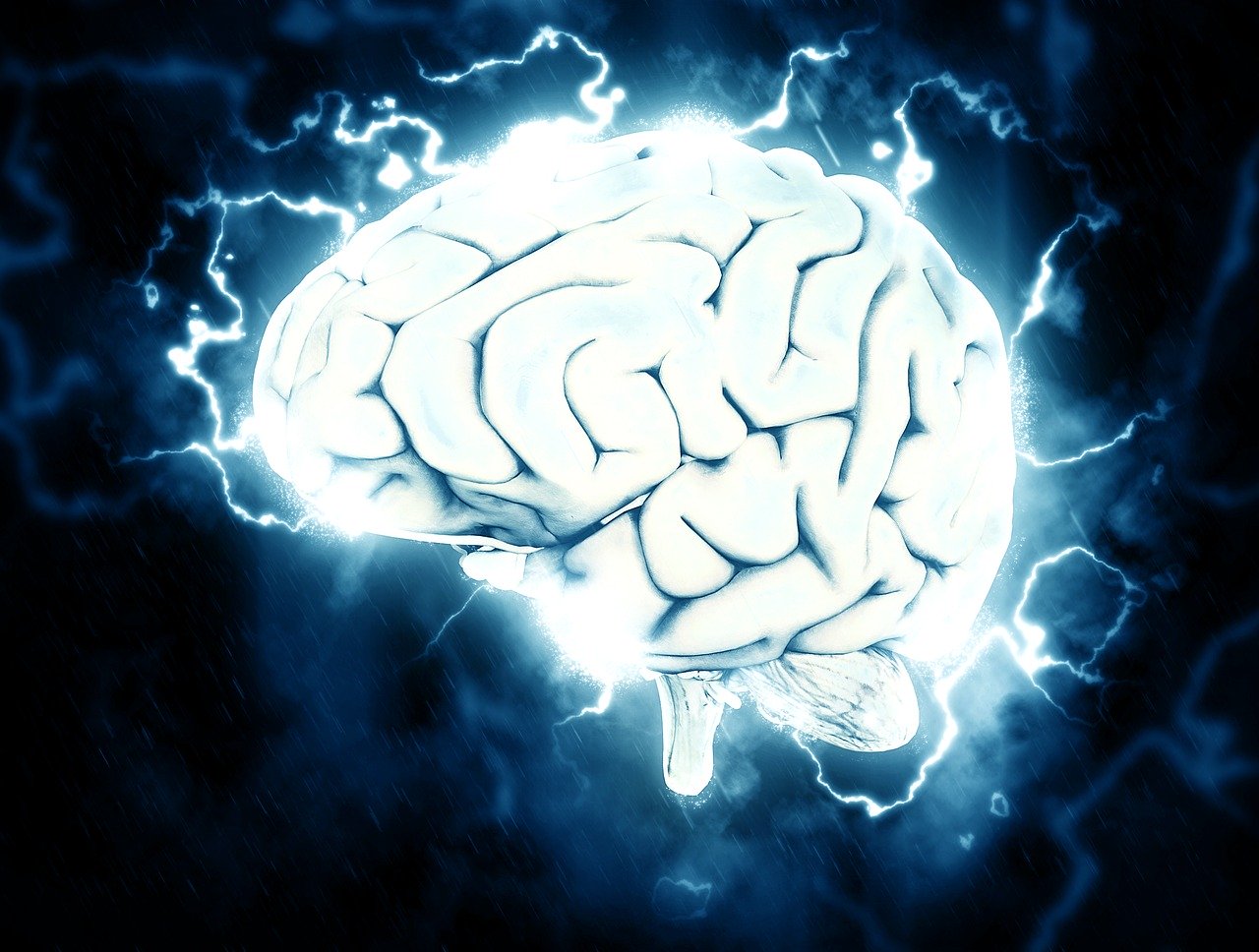 brain fotografia