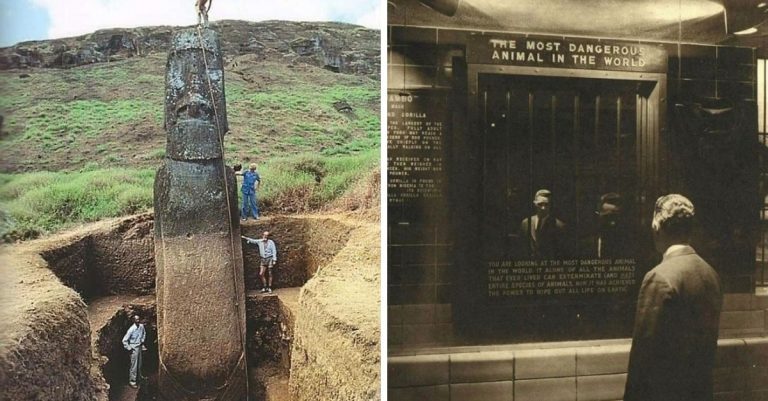 Historické fotografie, ktoré vás vrátia do minulosti a zanechajú vo vás celú škálu pocitov #70