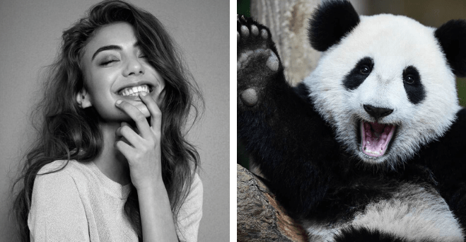 Zopár zaujímavosti ku káve, ktoré ti zaručene rozšíria obzory #688: koľko platia americké zoologické za prenájom jednej pandy  a niečo o žuvaní žuvačiek