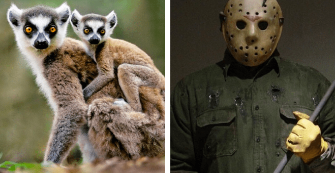 Zopár zaujímavosti ku káve, ktoré ti zaručene rozšíria obzory #694: koho socha sa nachádza pod hladinou Crystal Lake v Minnesote a niečo o hudbe