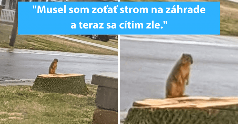 Niekoľko fotografií, ktoré ukazujú ako sa cíti príroda potom, čo ju ľudia zdevastujú