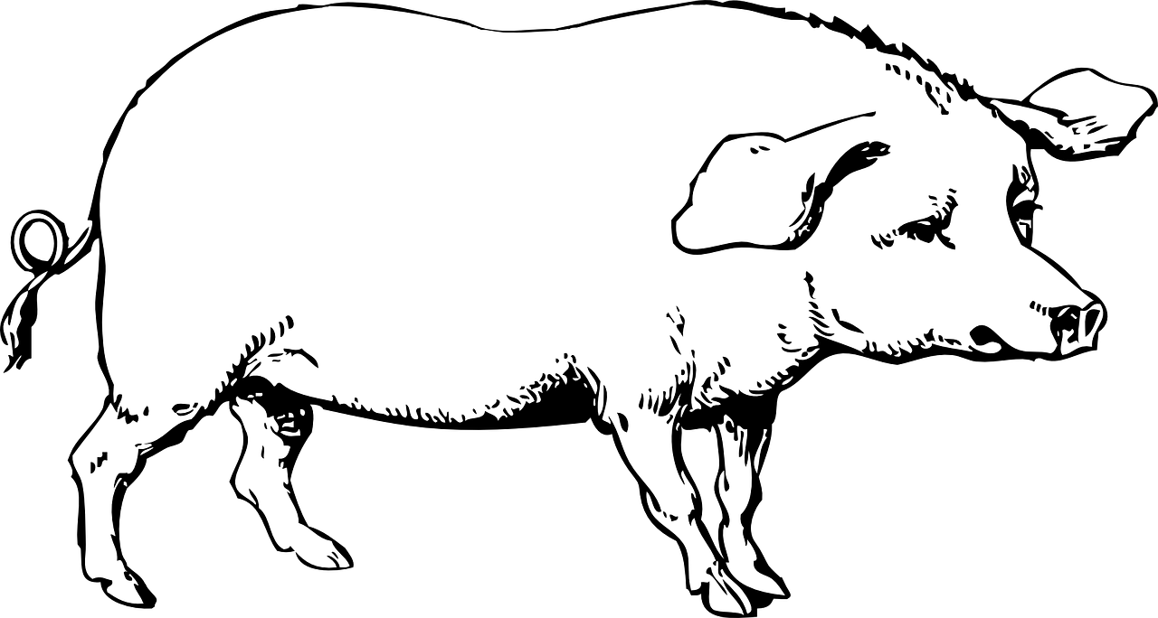 prasa