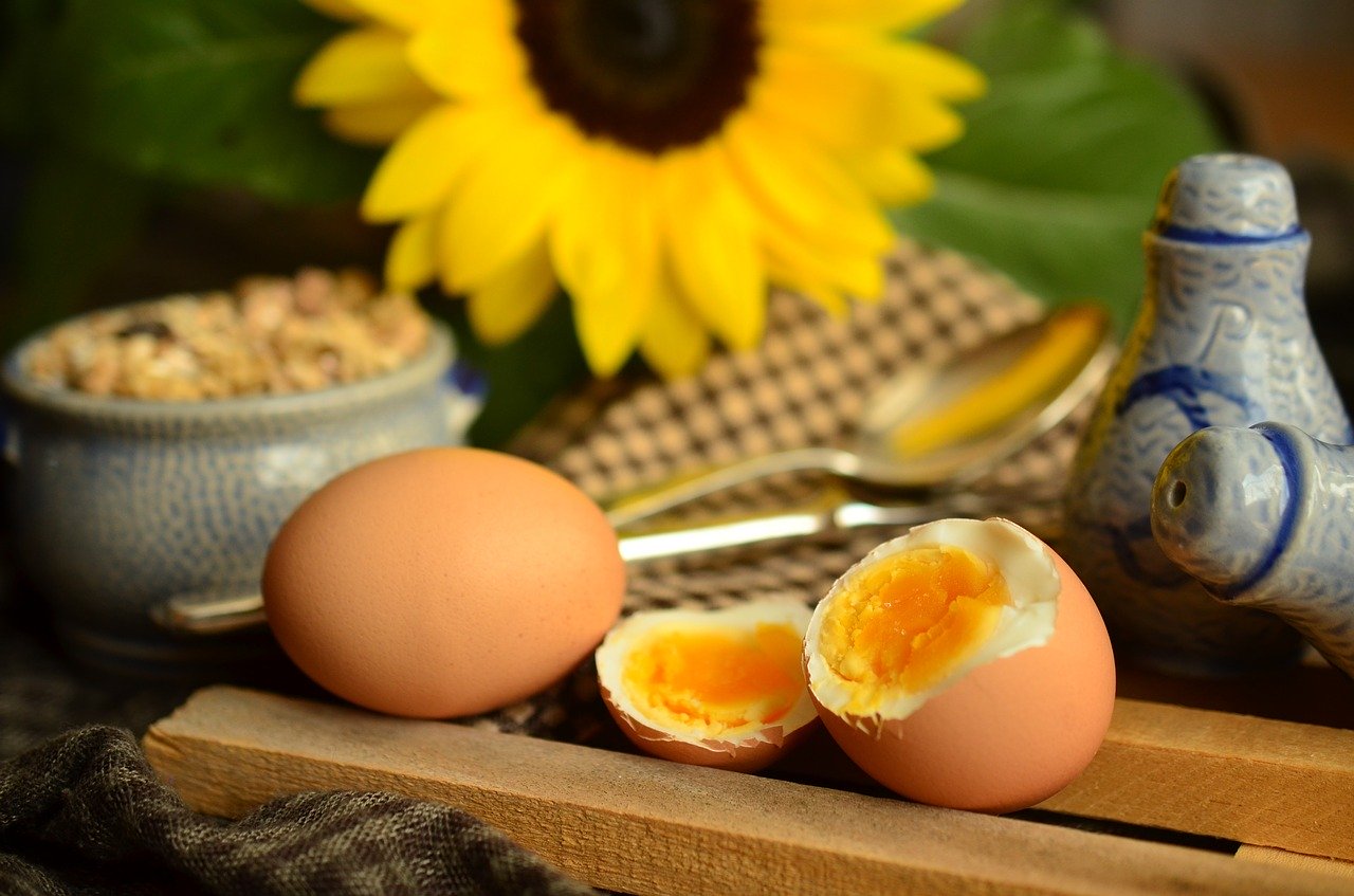 egg yolk fotografia