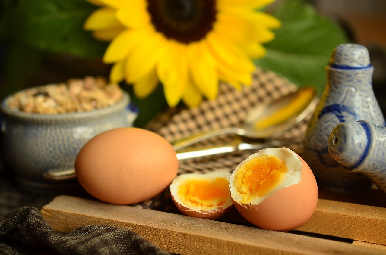 Photo by congerdesign egg yolk fotografia