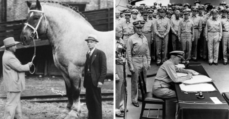Historické fotografie, ktoré vás vrátia do minulosti a zanechajú vo vás celú škálu pocitov #99