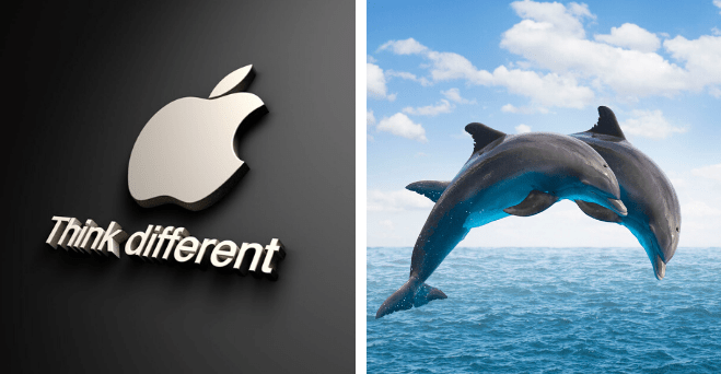Zopár zaujímavosti ku káve, ktoré ti zaručene rozšíria obzory #764: čo spravil samuraj, ak ho zajali a nechcel zažiť potupu zajatia a niečo o servise Apple