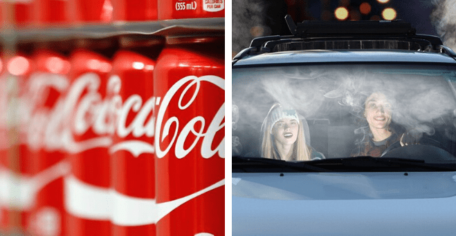 Zopár zaujímavosti ku káve, ktoré ti zaručene rozšíria obzory #756: ako vyzerali krokodíly 100 miliónov rokov dozadu a niečo o Coca-Cole