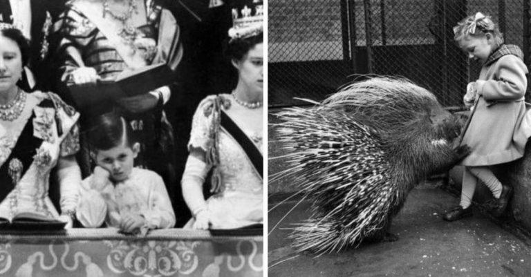 Historické fotografie, ktoré vás vrátia do minulosti a zanechajú vo vás celú škálu pocitov #112