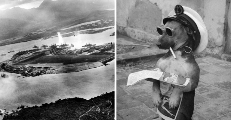 Historické fotografie, ktoré vás vrátia do minulosti a zanechajú vo vás celú škálu pocitov #126