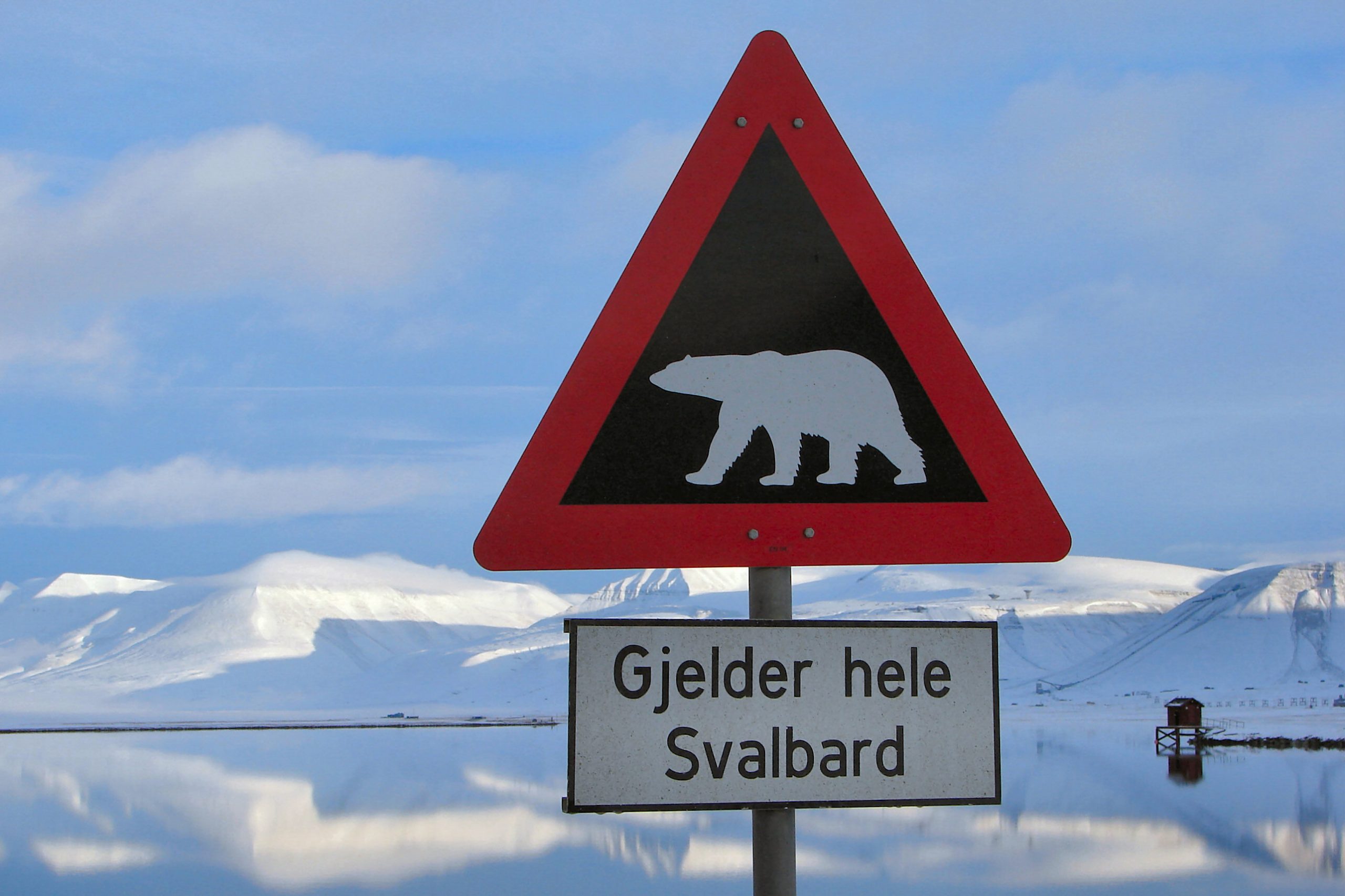 Polar Bear Warning Longyearbyen scaled