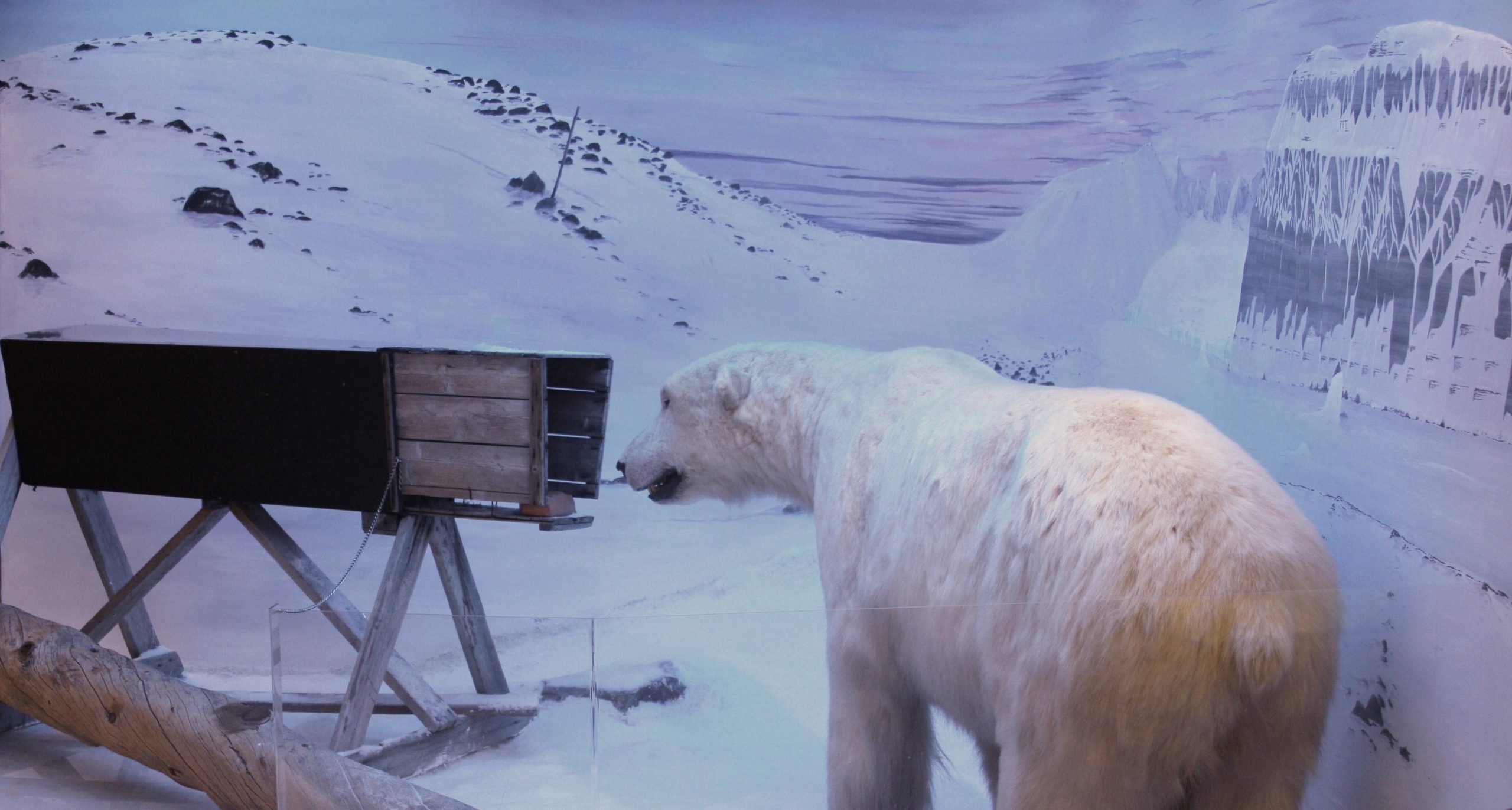 Polar Bear Trap Svalbard 01 scaled