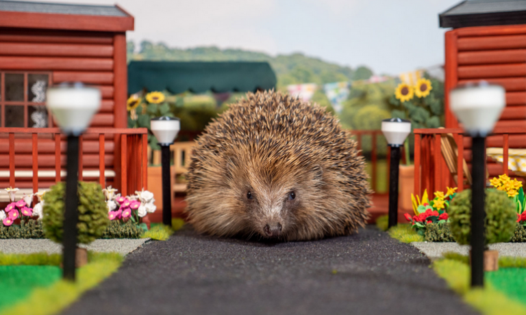Britská spoločnosť vytvorila pre Ježkov rozkošný miniatúrny prázdninový park na zimný spánok
