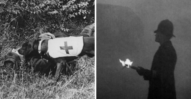 Zaujímavosti z histórie, o ktorých ste doteraz zrejme nevedeli