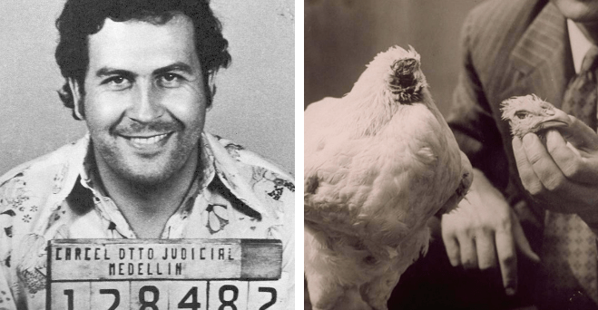 Zopár zaujímavosti ku káve, ktoré ti zaručene rozšíria obzory #968: koľko dolárov spálil raz Pablo Escobar, lebo jeho dcére bola zima a niečo o káve