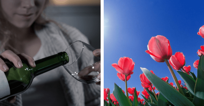 Zopár zaujímavosti ku káve, ktoré ti zaručene rozšíria obzory #1079: akí ľudia majú sklon k nadmernému pitiu alkoholu a niečo o slonoch