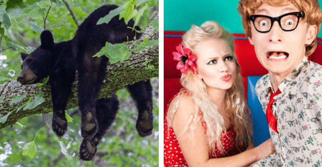 Zopár zaujímavosti ku káve, ktoré ti zaručene rozšíria obzory #1091: ako dlho by trvala cesta okolo Zeme slimákovi a niečo o latinčine
