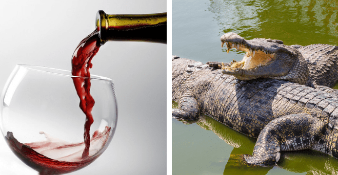 Zopár zaujímavosti ku káve, ktoré ti zaručene rozšíria obzory #1071: akej farby bol pôvodne známy nápoj Coca-cola a niečo o levoch